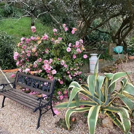 Avec Terrasse ベッド・アンド・ブレックファスト L'Isle-Jourdain