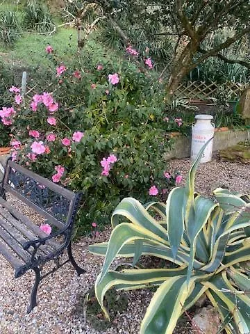 住宿加早餐酒店 Avec Terrasse L'Isle-Jourdain (Vienne)